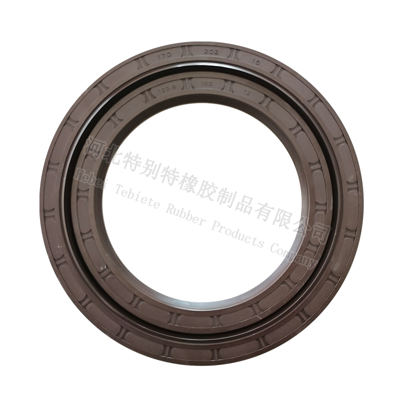 德纳桥后轮油封